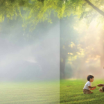 Opp Doc.pdf-image-000